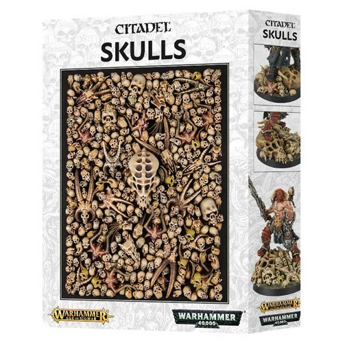 Citadel Skulls 1 Citadel Skulls