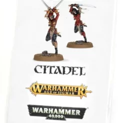 Death Cult Assassins